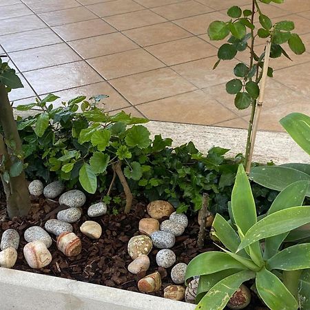 Villa Rita A 200M Dal Mare I Bacini Exterior foto